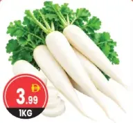 Radish White