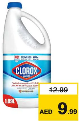 Clorox Bleach Regular