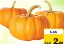يقطين أحمر
