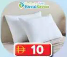 Royal Green Pillow