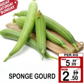 Sponge Gourd