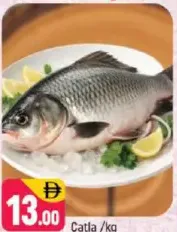 Catla