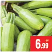 كوسا كبيرة