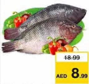 Tilapia Fresh Egyptian Per Kg
