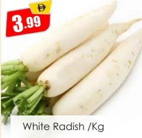 فجل أبيض