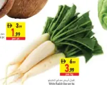 فجل أبيض اماراتي