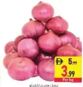 Onion Loose India