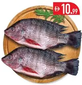 سمك بلطي طازج