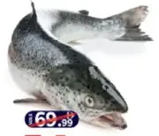 Salmon Norway Whole