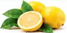 Lemon - South Africa