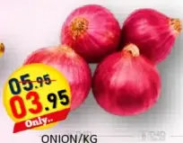 Onion