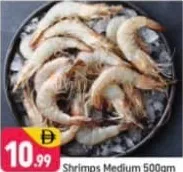 Shrimps Medium