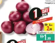 Onion Egypt
