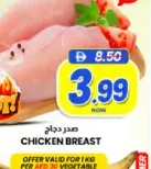 Chicken Breast