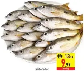 Naiser