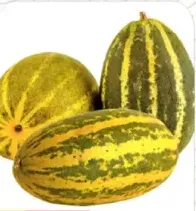 فيلاري (خيار أصفر)
