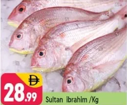 Sultan Ibrahim