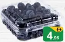 Blue Berry ZIMBAWE