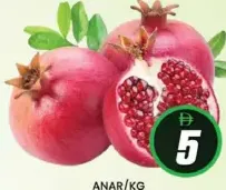 Anar