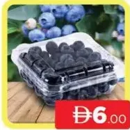 Blue Berry S/Africa
