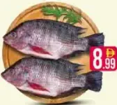 Tilapia