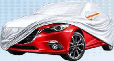 Car Cover Assorted Xl