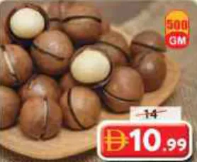 Macadamia In Shell