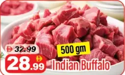 Indian Buffalo