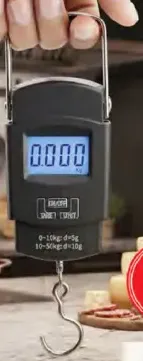 Porable Electronic Scale