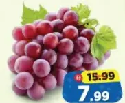 Grape Red Iran