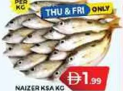 Naizer