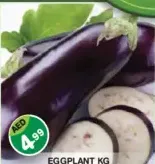 Eggplant