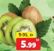 Kiwi Turkey