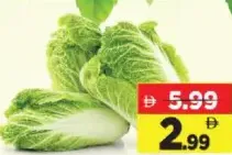 Lettuce /Jordan