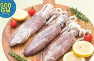 Squid Large