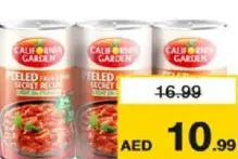California Garden فول مدمس مقشور حدائق كاليفورنيا