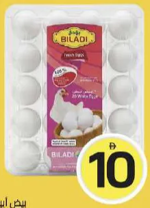 Biladi Medium White Eggs