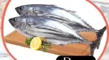 Tuna Fish