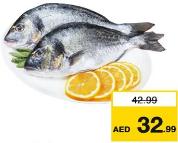 Sea Bream