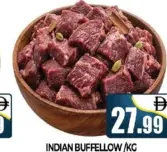 Indian Buffelow