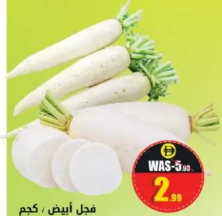 فجل أبيض اماراتي