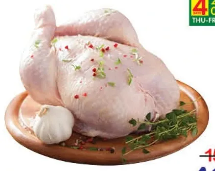 دجاج طازج
