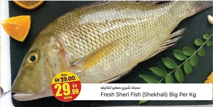 سمك شيري صغير