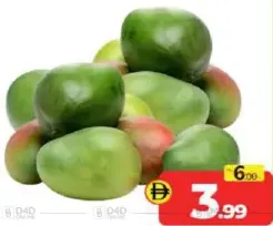 Mango Keith Egypt