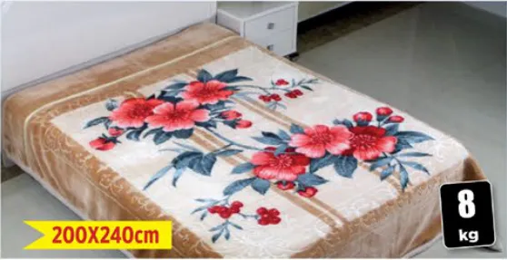Double Blanket Assorted
