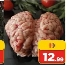 مخ بقري