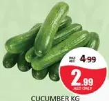 Cucumber