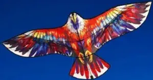 Kite asstd.