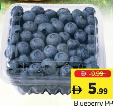Blueberry PP