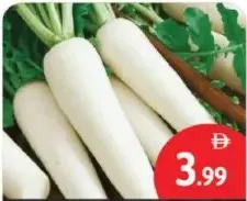Radish White